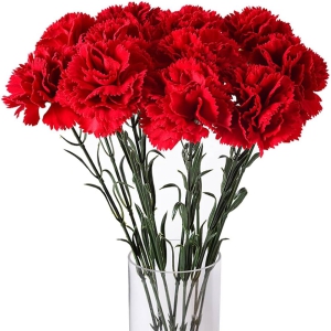 Yalikavak Flower Order - Carnations