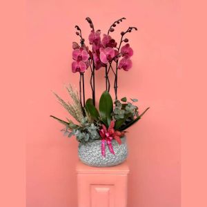  Yalikavak-Blumenhändler - Die Orchideen