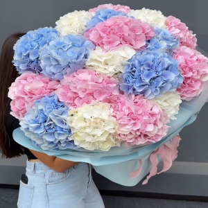 Yalikavak-Blumenbestellung - Hortensienblume