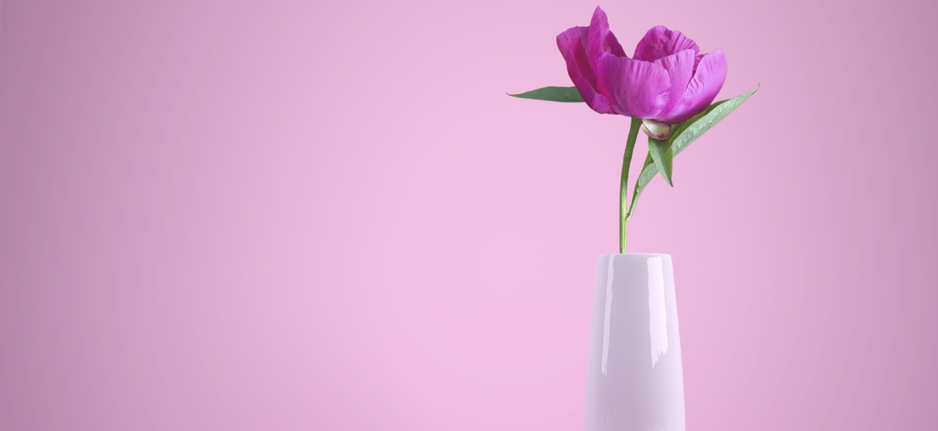 Yalıkavak Çiçek Teslimatı