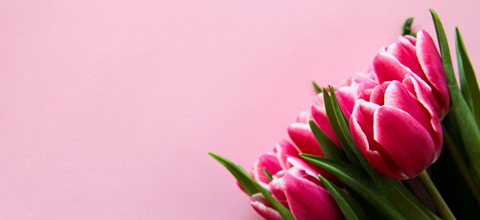 Yalıkavak Çiçek Siparişi