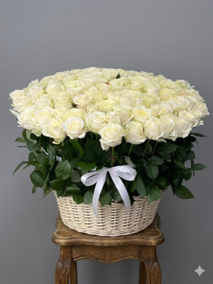 Yalikavak Flower Order - Basement Breeze