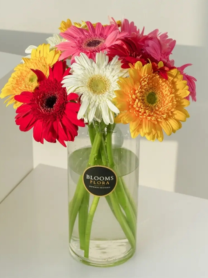 Yalikavak Flower Order - Pink Jerbera Bouquet