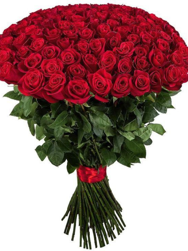  Yalıkavak Çiçekçi - Sonsuz Aşk 101 Gül 